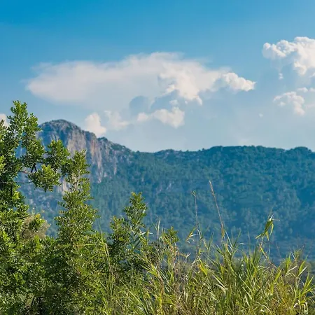 Coster ヴィラ ポレンサ