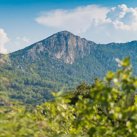 Вилла Coster Польенса