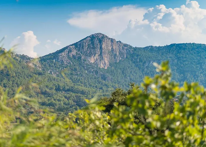 Villa Coster Pollenca