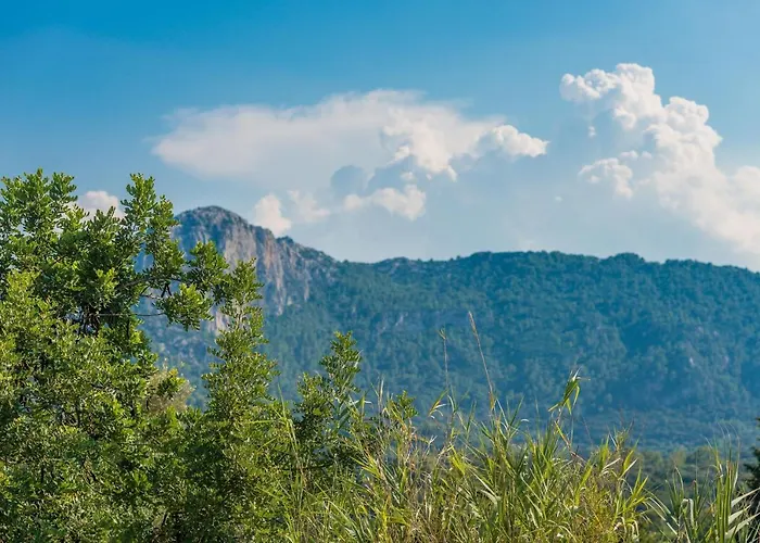 Coster Villa Pollenca